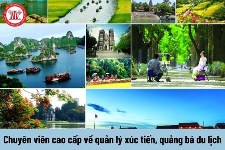 Xu hướng Lộ cảnh tập luyện giúp Angela: Hotspot Matrix tiết lộ bí quyết video viral