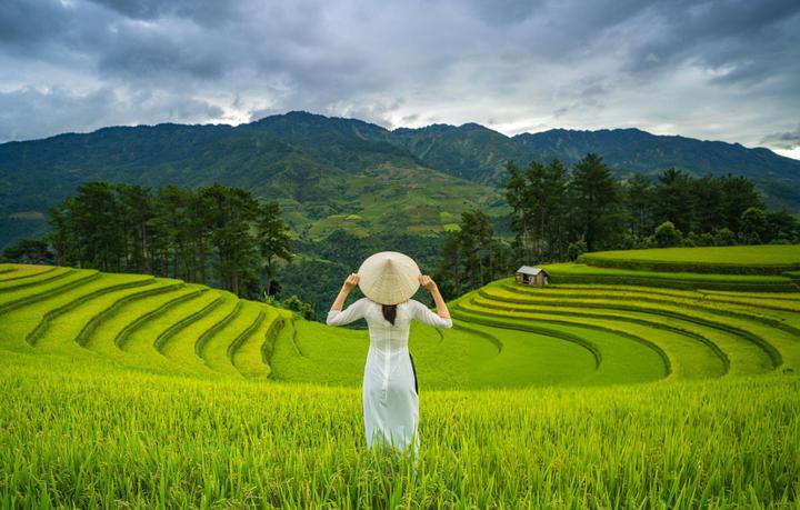 Xu hướng Mỹ nhân Việt bị ghét nhất: Hotspot Matrix tiết lộ bí quyết video viral