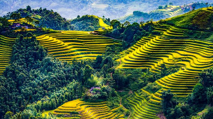 Xu hướng Mua váy hoa mà không biết 4: Hotspot Matrix tiết lộ bí quyết video viral
