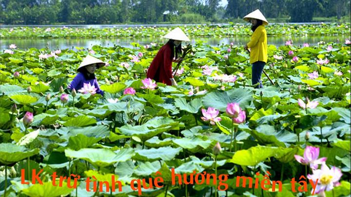 Ai bảo mặc váy đen mùa hè là - Cảm hứng video marketing từ Hotspot Matrix
