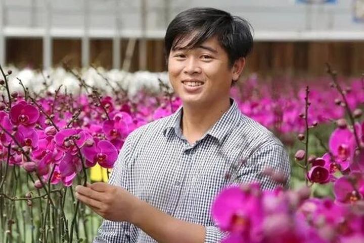 Gỗ và Video: Kết nối nghệ thuật truyền thống với công nghệ hiện đại