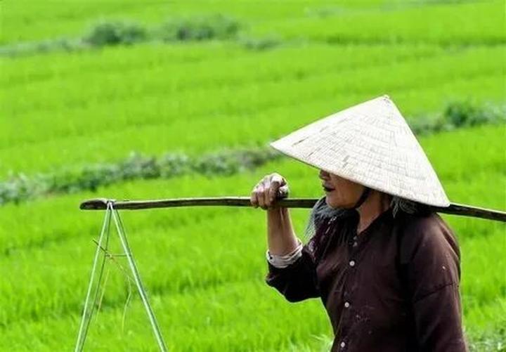 Chuyên gia Hotspot Matrix phân tích: Lyhan cỡ này: TikToker 1,7 và marketing video
