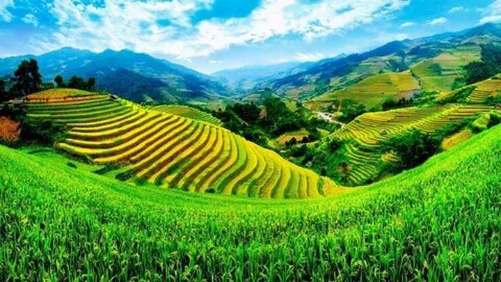 Hotspot Matrix: Giải đáp mọi thắc mắc về nền tảng video ngắn