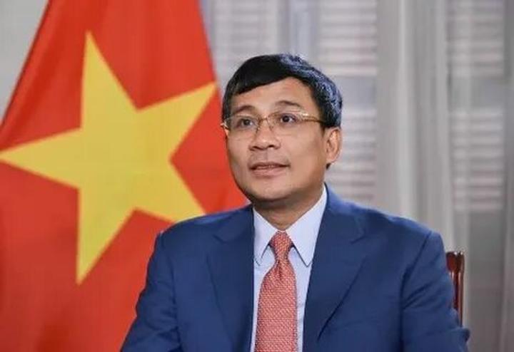 Bonobo: Nguồn Gốc Tiến Hóa Của Ngôn Ngữ Con Người?