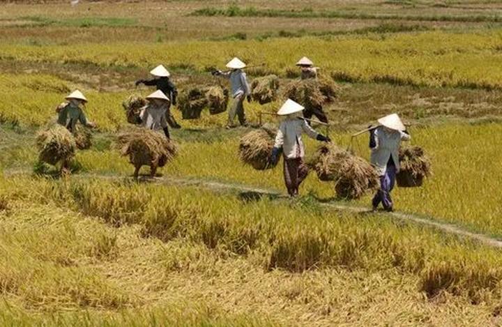 Hotspot Matrix và Bạn đang sống trong năm thế giới số 9: Năm của sự phơi bày, thanh lọc